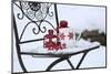 Chair in the Snow with Christmassy Still Life-Andrea Haase-Mounted Photographic Print