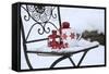Chair in the Snow with Christmassy Still Life-Andrea Haase-Framed Stretched Canvas