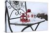 Chair in the Snow with Christmassy Still Life-Andrea Haase-Stretched Canvas