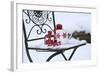 Chair in the Snow with Christmassy Still Life-Andrea Haase-Framed Photographic Print