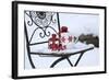 Chair in the Snow with Christmassy Still Life-Andrea Haase-Framed Photographic Print