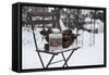 Chair in the Snow with Wintry Still Life-Andrea Haase-Framed Stretched Canvas