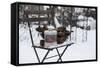 Chair in the Snow with Wintry Still Life-Andrea Haase-Framed Stretched Canvas
