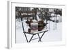 Chair in the Snow with Wintry Still Life-Andrea Haase-Framed Photographic Print