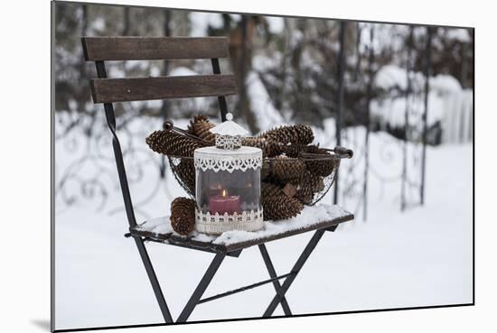 Chair in the Snow with Wintry Still Life-Andrea Haase-Mounted Photographic Print