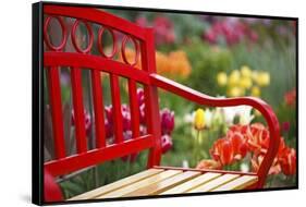 Chair in Tulip Field-Craig Tuttle-Framed Stretched Canvas