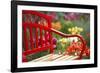 Chair in Tulip Field-Craig Tuttle-Framed Photographic Print