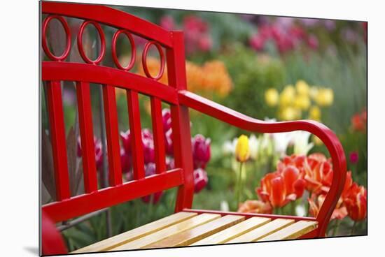 Chair in Tulip Field-Craig Tuttle-Mounted Photographic Print