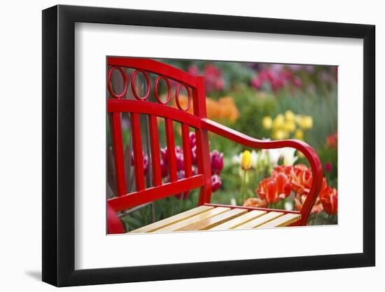 Chair in Tulip Field-Craig Tuttle-Framed Photographic Print