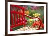 Chair in Tulip Field-Craig Tuttle-Framed Photographic Print