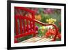 Chair in Tulip Field-Craig Tuttle-Framed Photographic Print