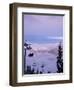 Chair Lift in the Early Morning, 2010 Winter Olympic Games Site, Whistler, British Columbia, Canada-Aaron McCoy-Framed Photographic Print