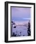 Chair Lift in the Early Morning, 2010 Winter Olympic Games Site, Whistler, British Columbia, Canada-Aaron McCoy-Framed Photographic Print