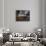 Chairs and Tables in a Restaurant at Dawn, Cafe Du Trocadero, Paris, Ile-De-France, France-null-Photographic Print displayed on a wall