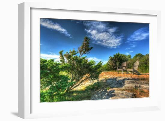 Chairs and Windblown Tree-Robert Goldwitz-Framed Photographic Print