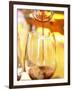 Chakanaka Wine in Decanter, Restaurant Red at Hotel Madero Sofitel, Puerto Madero-Per Karlsson-Framed Photographic Print