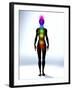 Chakra Energy Points, Computer Artwork-Christian Darkin-Framed Photographic Print