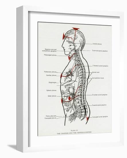 Chakras and Nervous System-CW Leadbeater-Framed Photographic Print