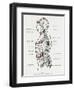 Chakras and Nervous System-CW Leadbeater-Framed Photographic Print