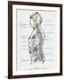Chakras and Nervous System-CW Leadbeater-Framed Photographic Print