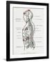 Chakras and Nervous System-CW Leadbeater-Framed Photographic Print