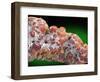 Chalcedon mineral-Walter Geiersperger-Framed Photographic Print