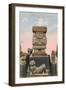 Chalchiutlicue Statue, National Museum, Mexico City-null-Framed Art Print