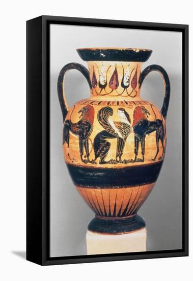 Chalcidian Black Figure Amphora, Sphinx Flanked by Two Lions, by the Polyphemus Painter, 540-30 BC-Greek-Framed Stretched Canvas