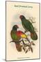 Chalcopsittacus Scintillatus - Red-Fronted Lory-John Gould-Mounted Art Print