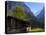 Chalet and Mountains, Grindelwald, Bern, Switzerland, Europe-Richardson Peter-Stretched Canvas