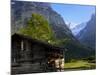 Chalet and Mountains, Grindelwald, Bern, Switzerland, Europe-Richardson Peter-Mounted Photographic Print