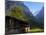 Chalet and Mountains, Grindelwald, Bern, Switzerland, Europe-Richardson Peter-Mounted Photographic Print