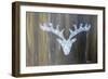 Chalet Style Silver Deer Antler-Markus Bleichner-Framed Art Print