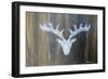 Chalet Style Silver Deer Antler-Markus Bleichner-Framed Art Print