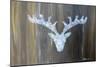 Chalet Style Silver Deer Antler-Markus Bleichner-Mounted Art Print