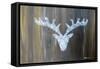 Chalet Style Silver Deer Antler-Markus Bleichner-Framed Stretched Canvas