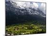 Chalets and Mountains, Grindelwald, Bern, Switzerland, Europe-Richardson Peter-Mounted Photographic Print