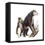 Chalicotherium Grande-null-Framed Stretched Canvas