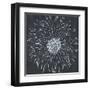 Chalk Bloom 1-Connor Adams-Framed Art Print