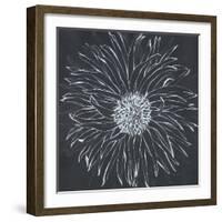 Chalk Bloom 1-Connor Adams-Framed Art Print