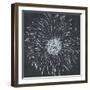 Chalk Bloom 1-Connor Adams-Framed Art Print