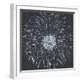 Chalk Bloom 1-Connor Adams-Framed Art Print
