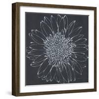 Chalk Bloom 2-Connor Adams-Framed Art Print