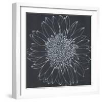 Chalk Bloom 2-Connor Adams-Framed Art Print