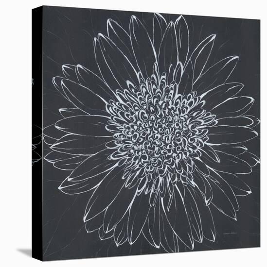 Chalk Bloom 2-Connor Adams-Stretched Canvas