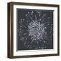 Chalk Bloom 2-Connor Adams-Framed Art Print