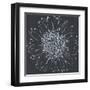 Chalk Bloom 2-Connor Adams-Framed Art Print