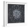 Chalk Bloom 2-Connor Adams-Framed Art Print