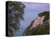 Chalk cliff in the evening, Jasmund National Park, Rügen, Mecklenburg-Western Pomerania, Germany-Michael Jaeschke-Stretched Canvas