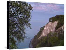 Chalk cliff in the evening, Jasmund National Park, Rügen, Mecklenburg-Western Pomerania, Germany-Michael Jaeschke-Stretched Canvas